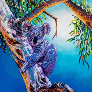 Koala 1 90x87cm