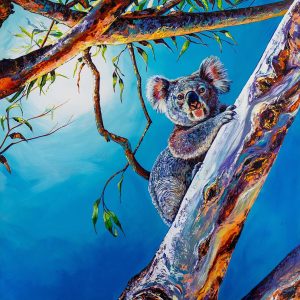 Koala 2 90x87cm