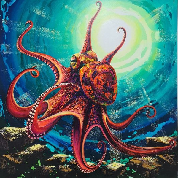 Octopus