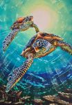 Pair of turtles