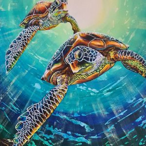 Pair of turtles