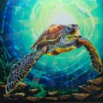 Turtle 3