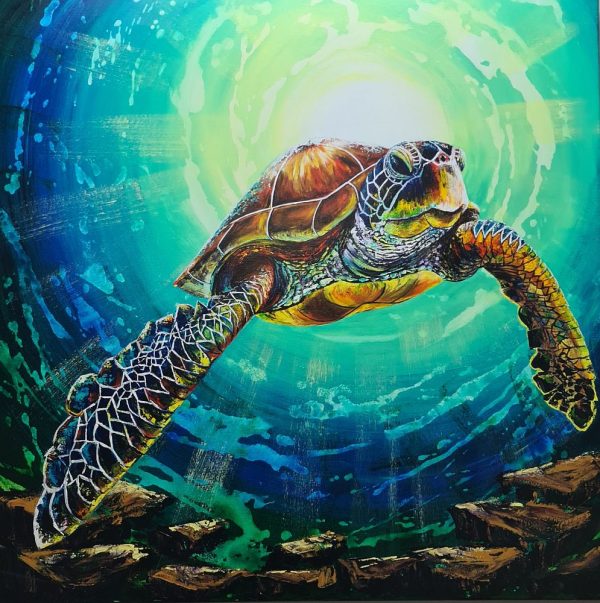Turtle 3