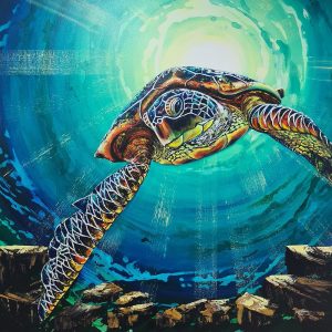 Turtle